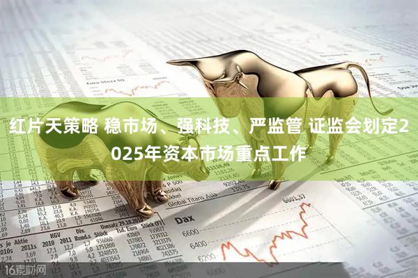 红片天策略 稳市场、强科技、严监管 证监会划定2025年资本市场重点工作